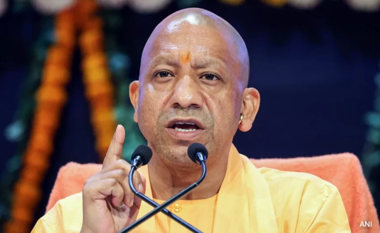 4956lqqg_yogi-_625x300_26_March_25