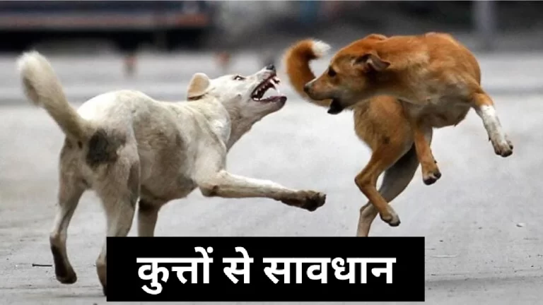 KUTTA